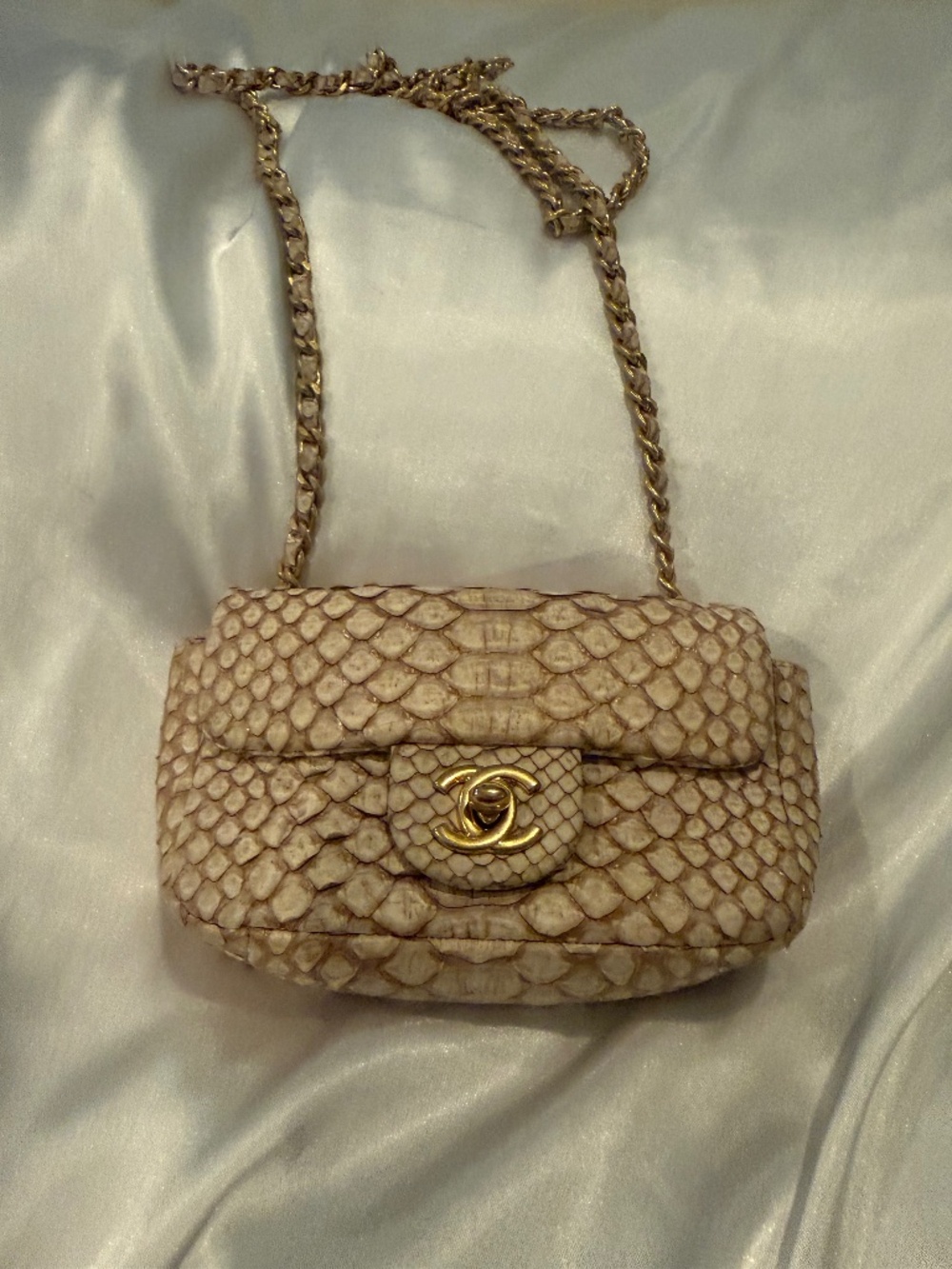 Chanel Python mini flap bag